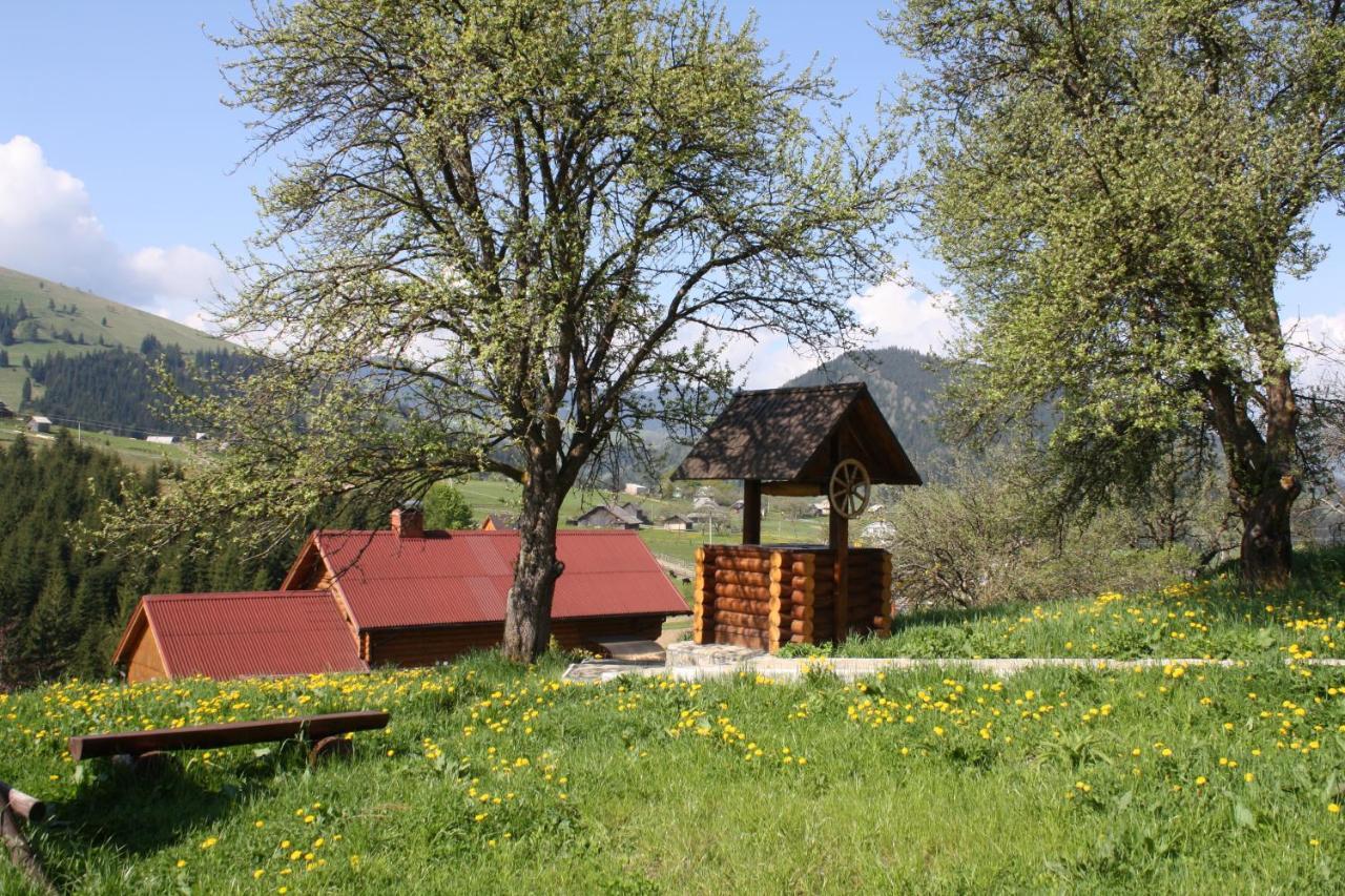 Polonyna Villa Verkhovyna Ngoại thất bức ảnh