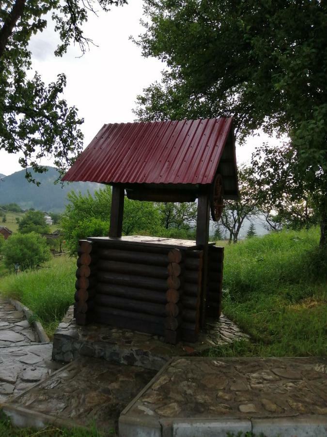 Polonyna Villa Verkhovyna Ngoại thất bức ảnh
