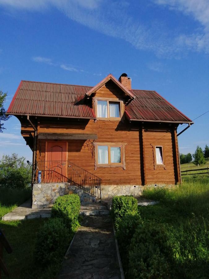 Polonyna Villa Verkhovyna Ngoại thất bức ảnh